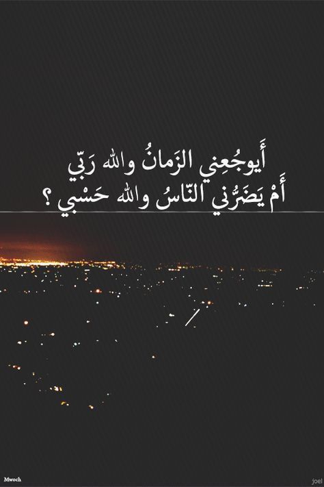 (ولتجدنهم أحرص الناس على حياة)……..قطوف سيد (ولتجدنهم أحرص الناس على حياة)……..قطوف سيد
