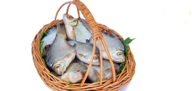 السُّلطة والسمكة….. السُّلطة والسمكة…..